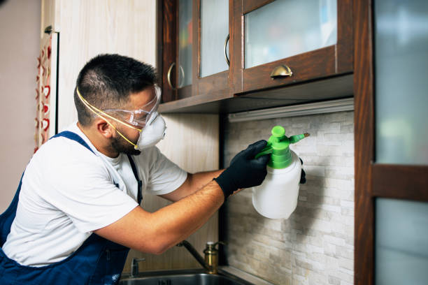 Best Residential Pest Control  in Rosharon, TX