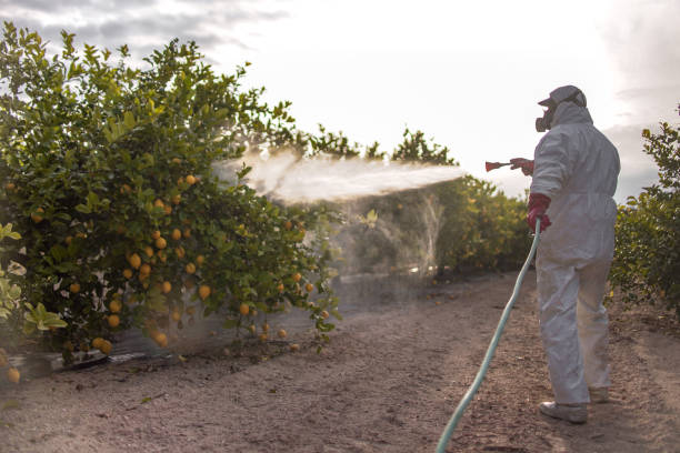  Rosharon, TX Pest Control Pros
