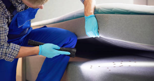 Trusted Rosharon, TX Pest Control Experts