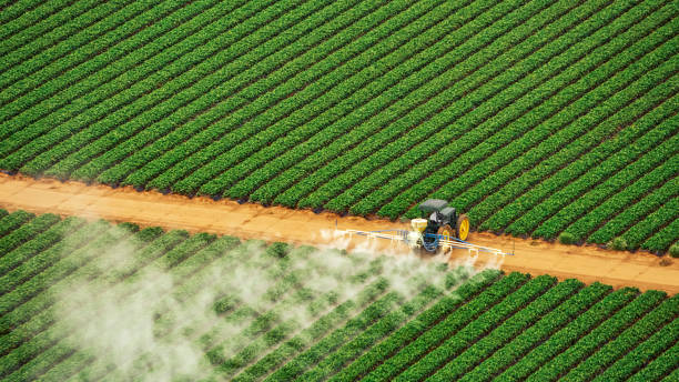 Best Pest Inspection Near Me  in Rosharon, TX