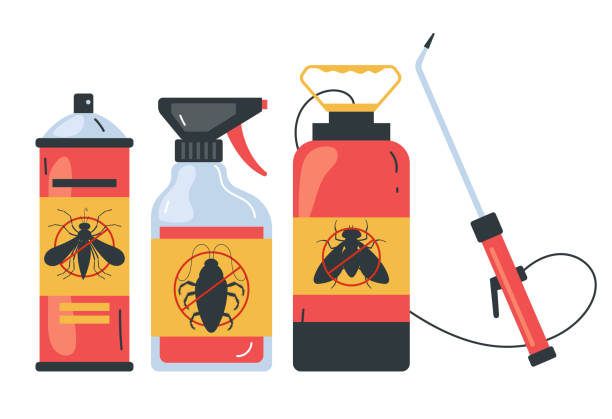 Best Affordable Pest Control Services  in Rosharon, TX