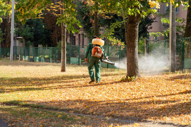 Best Flea Control Services  in Rosharon, TX
