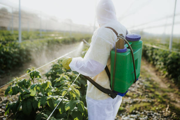 Pest Control Cost in Rosharon, TX